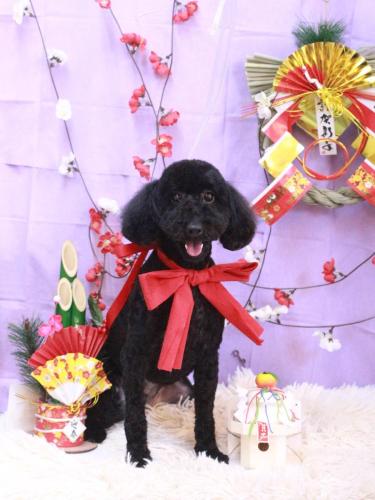 20230124クロエちゃん